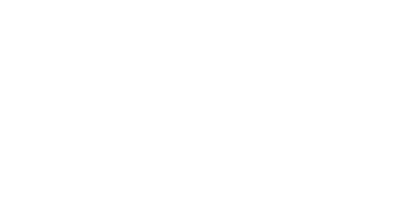 Nikola Stevanovic Wildlife Photography