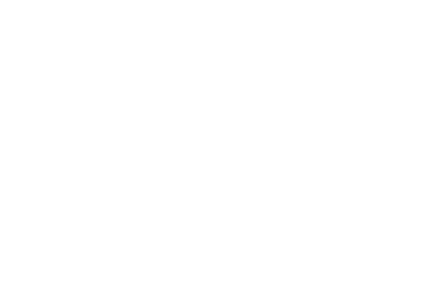 Nikola Stevanovic Wildlife Photography