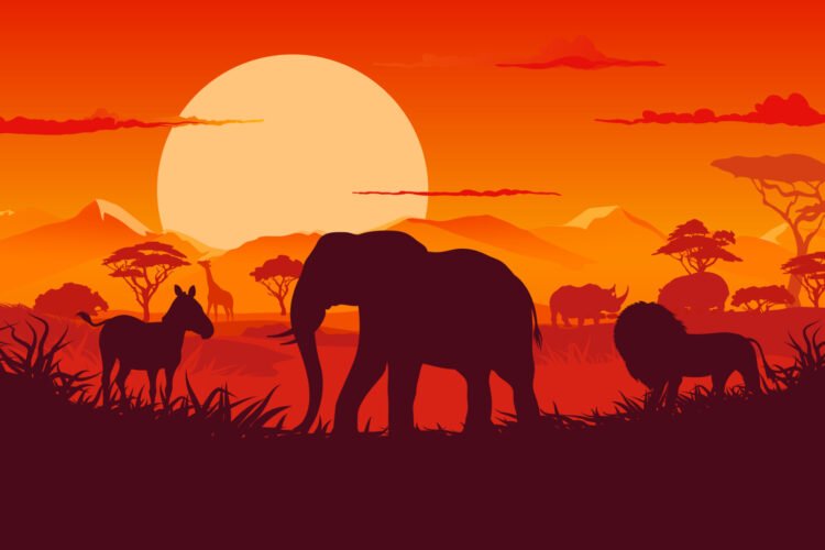 africa-scenery-vector-original-aspect